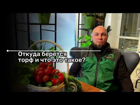 Видео: Откуда берется торф и что это такое