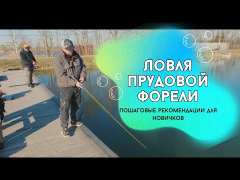 Видео: Ловля прудовой форели. Два взгляда на основной набор снастей для спортивной и любительской ловли.