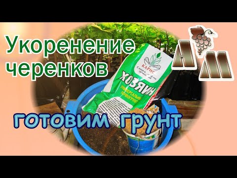 Видео: 🍇 Укоренение черенков винограда - 5. Грунт для выращивания саженцев винограда