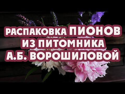 Видео: Распаковка хрупких  снаружи и мощных внутри.  На "пи" начинается, на "оны" заканчивается😂 Угадали?