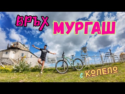 Видео: ИЗКАЧВАНЕ на ВРЪХ МУРГАШ с КОЛЕЛО-2025