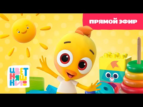 Видео: 🐥  Цветняшки — Прямой эфир — Утро с Цыплёнком Пи — Развивающий мультик для малышей 🌞