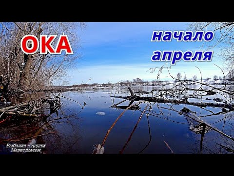 Видео: На ОКУ на РАЗВЕДКУ. Начало апреля 2022.
