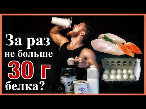 Видео: Сколько белка усваивается за один раз? | Джефф Ниппард