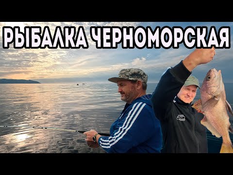 Видео: Рыбалка Черное море. Лов ставриды, горбыля, дорадо, окуня, карася, смариды, ласкирь.