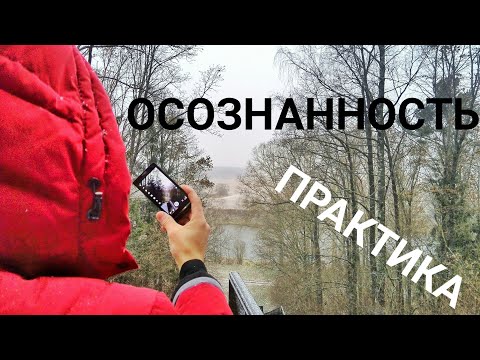 Видео: Практика Осознанности. Внутренняя тишина