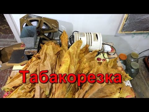 Видео: Как работает после ремонта - польская Табакорезка.