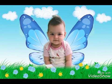 Видео: МИЛАЯ АМИНА!! КЛИП ПОД ПЕСНЮ "АМИНА МИЛАЯ МОЯ"