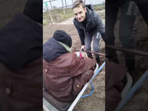 Видео: Бабочка в октябре. Зачем мы строим дом?