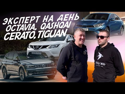 Видео: НАЙТИ ЗА ДЕНЬ! SKODA OCTAVIA, NISSAN QASHQAI, KIA CERATO, VW TIGUAN! АВТОПОДБОР AUTOFACT!