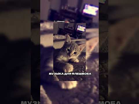 Видео: ||музыка для флешмоба||