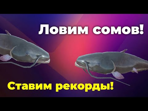 Видео: Наконец-то поймал ГИГАНТА!!! | Ultimate Fishig Simulator | Кетлин-Лейк #2