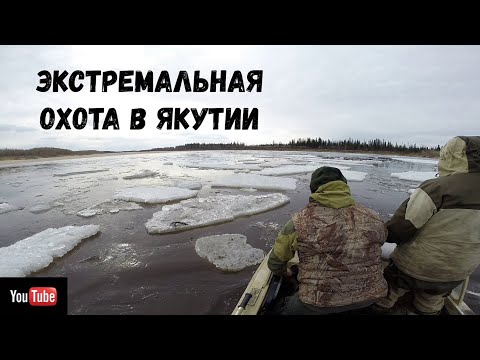 Видео: экстремальная охота в якутии