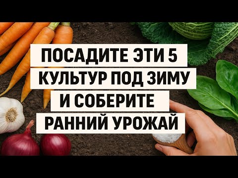 Видео: Что посадить под зиму? 5 культур для богатого урожая весной и секреты ухода
