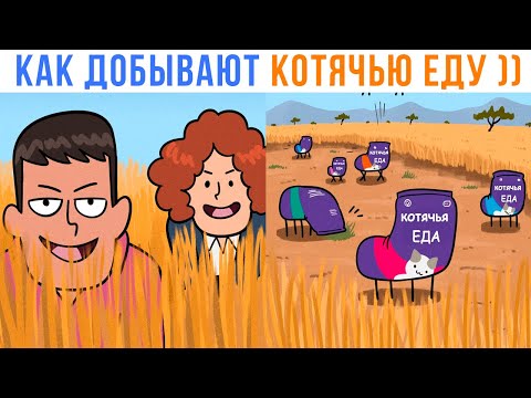Видео: КАК ДОБЫВАЮТ КОТЯЧЬЮ ЕДУ ))) Приколы | Мемозг 1660