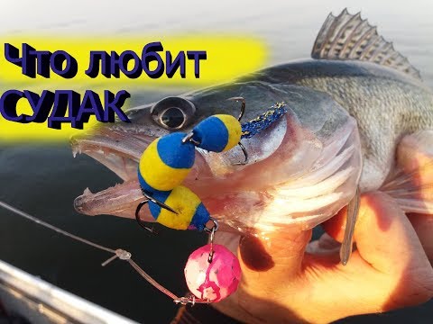 Видео: Вся сила МАНДУЛЫ / Мандула / Ловля судака на джиг 2019 / Мандула на судака / Судак