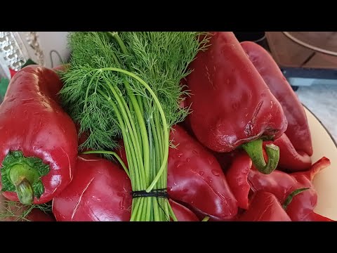 Видео: Овкат кизартирадиган Кишга таёргарлик