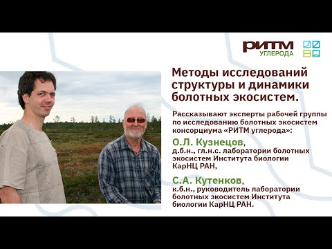 Видео: Лекция 2. Методы исследования структуры и динамики болотных экосистем. Кузнецов О.Л., Кутенков С.А.