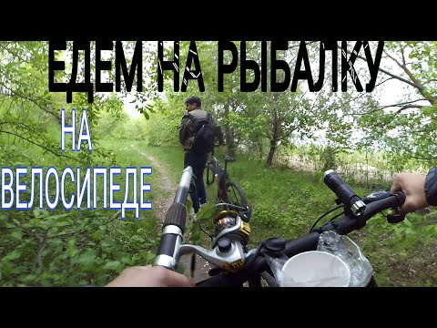 Видео: ЕДЕМ НА РЫБАЛКУ НА ВЕЛОСИПЕДЕ!!! Велопокатушки