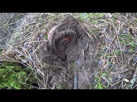 Видео: ТАКИХ НАХОДОК Я НЕ ОЖИДАЛ! В ЛЕСУ ПОЛНО МЕТАЛЛА! (2023)