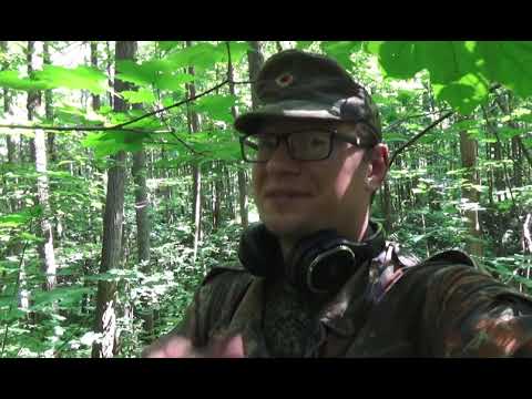 Видео: На что обратить внимание, на копе в лесу!