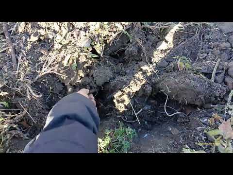 Видео: Нашёл Металл во второй Квартире, и Прогулка на Велеке за Металлом. 