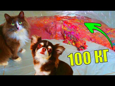 Видео: СЛАЙМ 100 КГ ПРОТИВ ПИТОМЦЕВ! УНИЧТОЖИЛИ ЛИЗУН ГИГАНТ КОТОРОМУ ПОЛГОДА