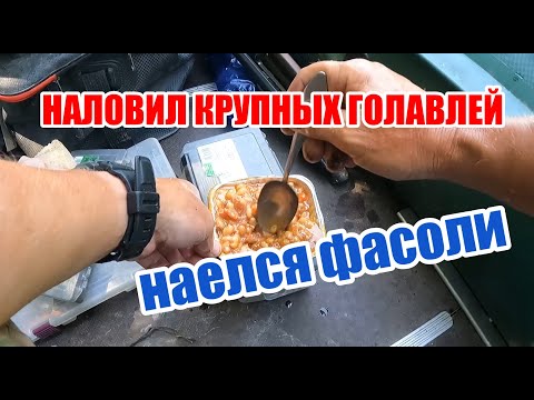 Видео: НАЛОВИЛ КРУПНЫХ ГОЛАВЛЕЙ, НАЕЛСЯ ФАСОЛИ И ДОМОЙ!