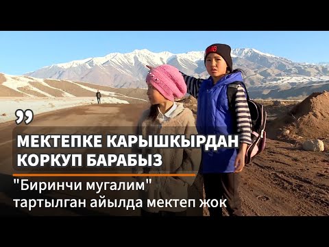 Видео: "Мектепке карышкырдан коркуп барабыз"