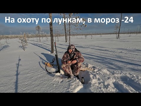 Видео: В лес по лункам в- 24. Прогулка по лесу.