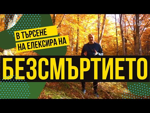 Видео: В търсене на елексирa на безсмъртието в Странджа планина