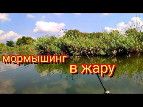 Видео: Мормышинг в жару, мотыль Brown perch выручает.