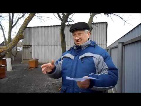 Видео: Сколько может зароботать начинающий пчеловод