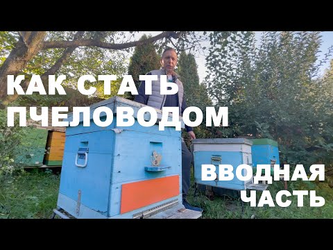 Видео: Как стать пчеловодом ? | Вводная часть | ПчелоСад
