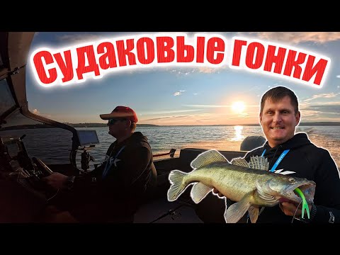 Видео: Судаковые гонки. Вечернул на реке Чусовая.