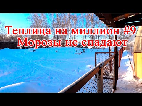 Видео: Теплица на миллион #9 Морозы не спадают