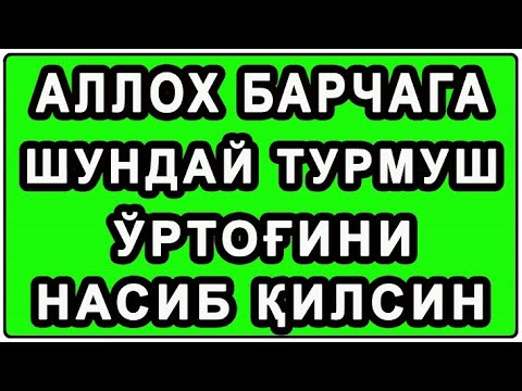 Видео: Soliha turmush o'rtog'i istayman | Солиха турмуш ўртоғи истайман