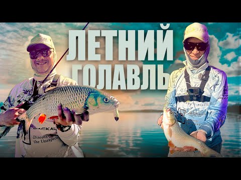 Видео: ПОЙМАЛИ ОЧЕНЬ МНОГО КРУПНОГО ГОЛАВЛЯ! ПРАВИЛЬНЫЕ ПРИМАНКИ И МЕСТА!