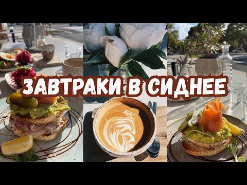 Видео: Кафе в Сиднее: топ моих любимых кафе для завтраков в районах  Redfern, Surry Hills и Bondi.