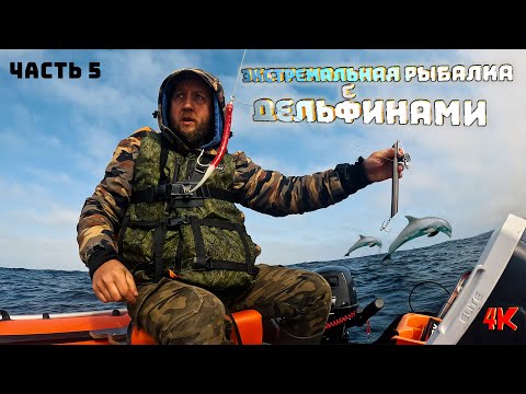 Видео: Экстремальная рыбалка с дельфинами (Часть 5)