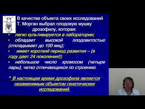 Видео: Биология 5.Закономерности наследования. Генетика пола