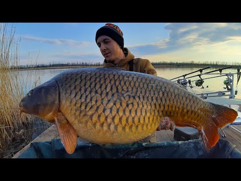 Видео: О ТАКИХ РЫБАЛКАХ МЕЧТАЮТ! Ловля карпа ранней весной 2021. Лучшая весеняя рыбалка в жизни