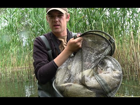 Видео: Лучшая Снасть Для Рыбалки В Камыше. Ловит Любую Рыбу! Теперь ловлю только так. Попробуйте!