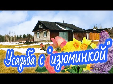 Видео: Продается "не дом, а полная чаша" // ОБЗОР ДОМА И УСАДЬБЫ