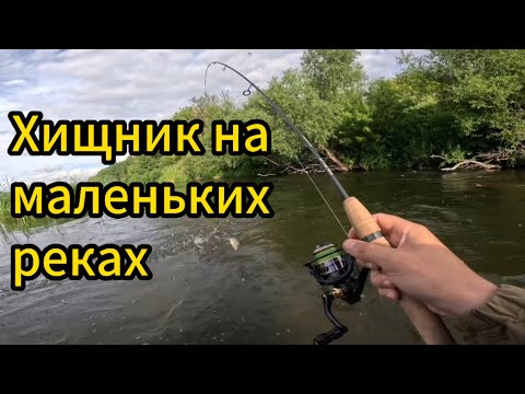 Видео: Хищник на малых реках