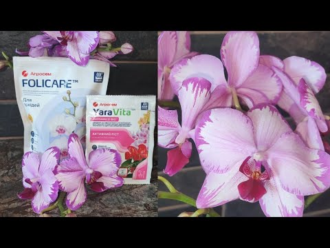 Видео: 💙💛N P K для Орхідей ( Folicare та YaraVita   від "Yara"Агросем - Мінеральні Добрива для Орхідей )
