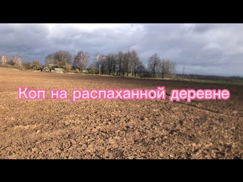 Видео: Коп в Беларуси на распаханной деревне.Находки от 11 века до  ВОВ.Металлоискатель нокта симплекс плюс