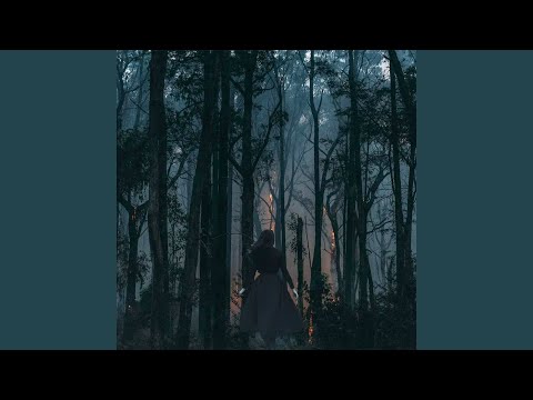 Видео: Додому