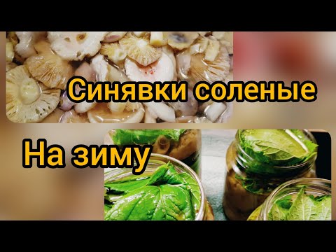 Видео: Сыроежки (синявки) соленые на зиму.