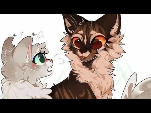 Видео: топ 10 котов-воителей, которые мне нравятся, но они не очень популярны! #котывоители  #xomka  #топы